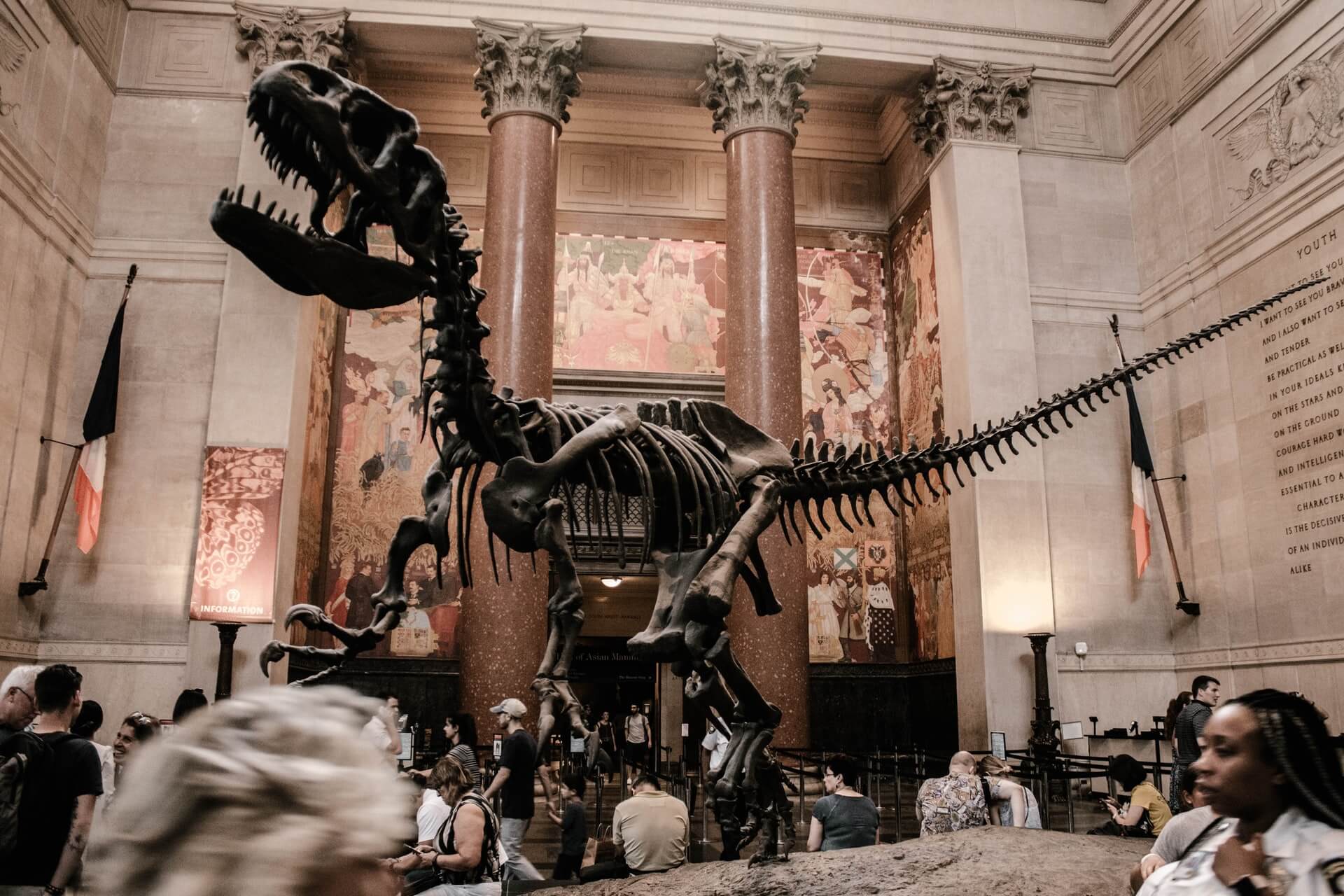 American Museum